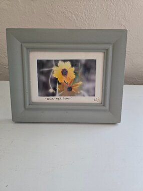 Signed "Black-eyed Susan" Floral Art Photograph in Sage Green Frame